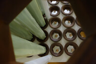 nové jaderné palivo v Dukovanech