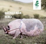 Festival Příběhy Země