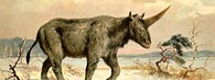 Elasmotherium sibiricum