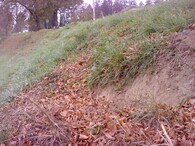 eroze trávníku po sekačce