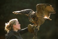 mezidruhové vztahy Evžen a Lenka