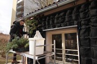 vertikální zahrada