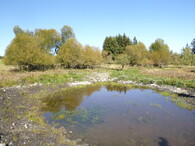 Tůň u obce Rájov v Karlovarském kraji