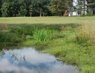 retenční dešťový záhon