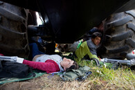 Blokáda Bělověžského pralesa 