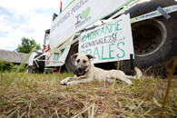 Blokáda Bělověžského pralesa 