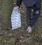 Pytlák zachycený fotopastí