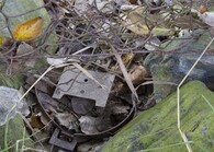 Pytlák zachycený fotopastí