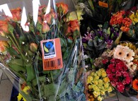 růže fairtrade