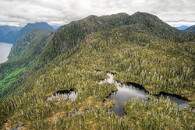 Great Bear Rainforest