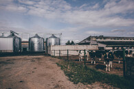 Zemědělské družstvo v Haňovicích