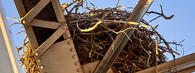 Hnízdo na mostě