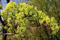 Den země v Muzeu Hradec Králové