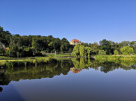 Obnova Královské obory Stromovka v Praze