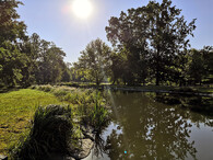 Obnova Královské obory Stromovka v Praze