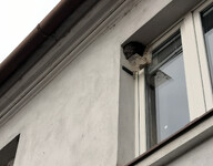 podložka pod hnízdem na okně