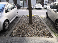 kameny kolem stromů ve městě