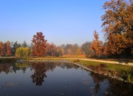 Stromovka na podzim