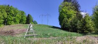 elektrické vedení a louka