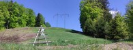 elektrické vedení a louka