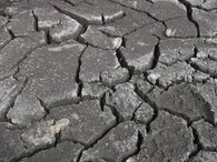 Škody v souvislosti s odbahňováním Nového rybníka u Soběslavi v roce 2018