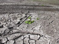 Škody v souvislosti s odbahňováním Nového rybníka u Soběslavi v roce 2018