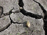 Škody v souvislosti s odbahňováním Nového rybníka u Soběslavi v roce 2018