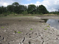 Škody v souvislosti s odbahňováním Nového rybníka u Soběslavi v roce 2018