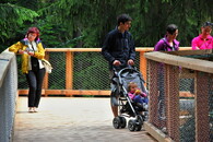 stezka korunami stromů Krkonoše