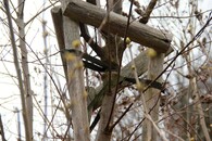 úvaz - příklad, kdy úvaz 