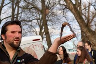 Vypuštění 52 zachráněných netopýrů ve Stromovce