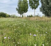 Územní systém ekologické stability v Benátkách nad Jizerou