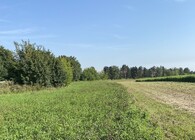 Územní systém ekologické stability v Benátkách nad Jizerou