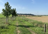 Územní systém ekologické stability v Benátkách nad Jizerou