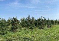 Územní systém ekologické stability v Benátkách nad Jizerou