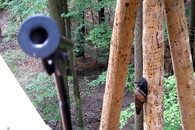 stezka korunami stromů Krkonoše