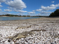 údolní nádrž Rozkoš