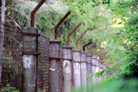 terénní exkurze do lesa