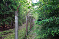 terénní exkurze do lesa