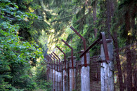 terénní exkurze do lesa