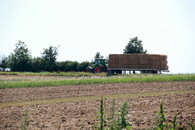 Sklizeň na polích v moravském Toskánsku