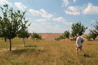 Rozhovor s Petrem Maradou u Šardic