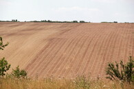 Pole v moravském Toskánsku