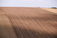 Pole v moravském Toskánsku