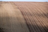 Pole v moravském Toskánsku