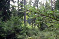 Klokočná - exkurze