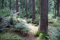 Klokočná - exkurze