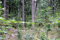 Klokočná - demonstrační objekt