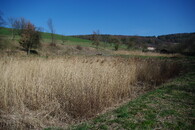 kořenová čistírna odpadních vod Hostětín duben 2020