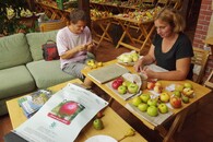 Oživení starých odrůd